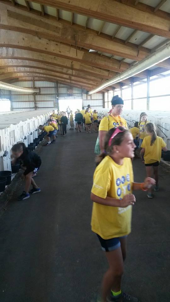 YMCA summer camp kids in the calf barn